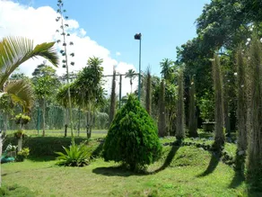 Le' Manah Retreat - Image 3