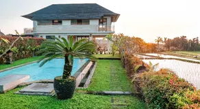 Dragonfly Cottage - 2Br Villa Jatiluwih - Image 2