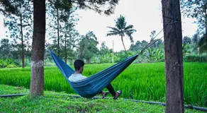 Phalam Homestay - Image 2