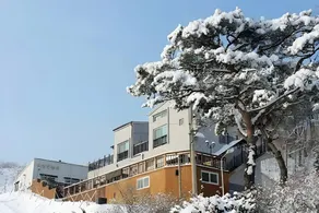 Pyeongchang Daegwallyeong Modern Ville Pension - Image 2