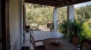 Olive Grove Zakynthos - Image 2