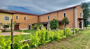 Tenute Pacelli - Azienda Agricola - Image 5