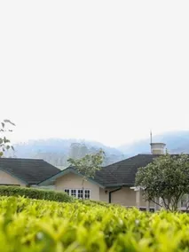 Aadya Tea Bungalows by Aahaasa - Image 2