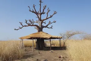 L'Ecolodge de Simal - Image 3