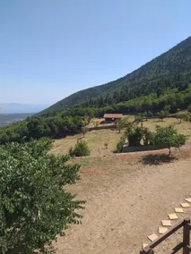 Chalet Aselinos - Image 2