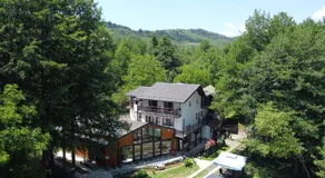 Moara Viselor - Image 5