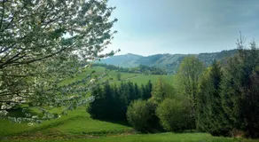 Pokoje Przy Szlaku Agroturystyka - Image 2