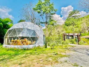 The Forest Camp Khao Yai - Image 3