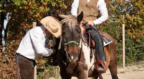 Agriturismo L'Uliveto Equestre - Image 5