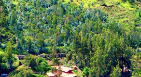 Birds Hotel Molino - Image 4