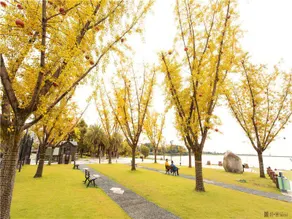 Yueshe Boutique Hotel - Image 5