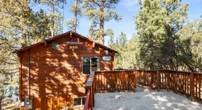 Harrison's Hanger - Cozy cabin with a fairly nice view of the tree line! Wood burning fireplace! - Image 4