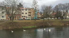 Penzion- Leslav - Image 4