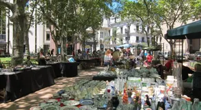 EL MEJOR LUGAR Departamento de Diseño en el mejor Barrio de Montevideo - Image 4