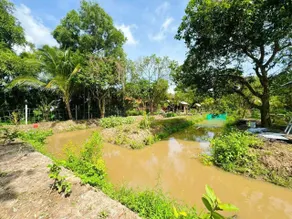 Một homestay & cafe mang phong cách tân cổ điển - Image 3
