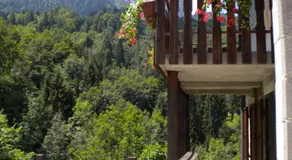 B&B DOLOMIA - Image 4