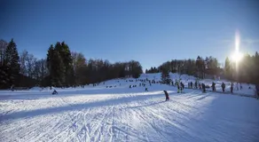 Wald & Weg - Image 1