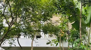 Blue Lotus Villa & Spice Garden - Image 5