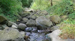 Ca La Roseta - Image 5