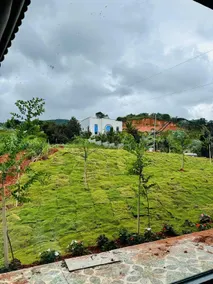 Ngôi nhà xinh trong rừng thông - Image 4