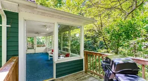 Shenandoah mountain cottage w hot tub & fire pit - Image 2