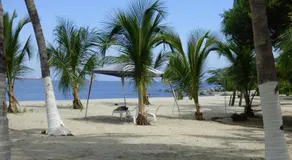 Puesta del sol - Image 5