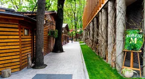 FOREST M,Constanta - Image 4