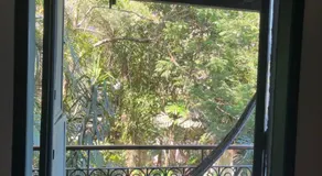 Casa No Mato - Image 5