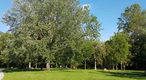 Monza Park Apartment - Image 5