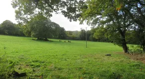 Holland Park Farm - Image 5