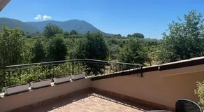 L'Oro Verde - Image 2