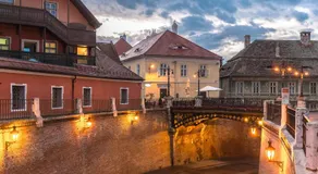 Vila Șaguna - Image 3