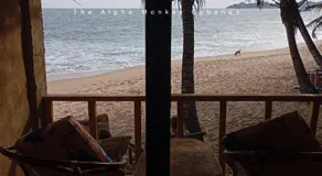 The Alpha Monkey hotel & Tree house - Image 3