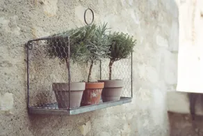Gîte-de Luxo-Hidromassagem-Terraço - Image 4