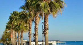 Casa Artista 5 Stelle Centrale-Vista Mare-Free Parking - Image 5