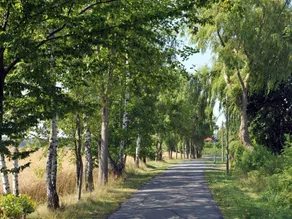 Holiday Home Crane Coast - Image 3