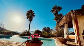 Finca Sa Moleta Nova - Image 3
