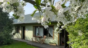 Cosy guesthouse with sauna and outdoor kitchen - Image 4