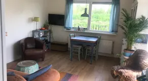 Rosa's zonnige huisje bij duinen bos en strand - Image 2