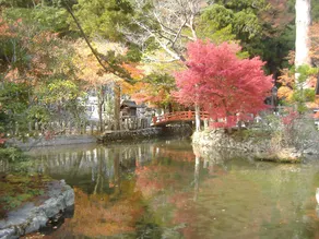 Saratoku Ryokan - Image 5