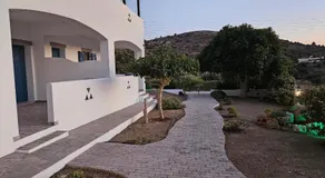 Olive - Image 5