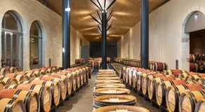 Domaine de Ludeye, Chambres d'hôtes - Médoc - Image 2