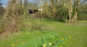 Dogwood Cabin - Image 5