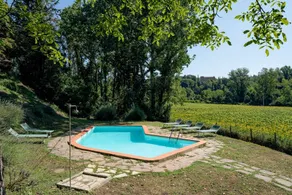 Bossi Di Sopra (Castello Di Bossi) - Image 4