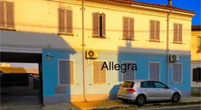 Allegra - Image 3