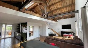 Francisco - Image 2