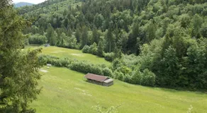 Kleine einfache Ferienwohnung in malerischer Umgebung Salzburgs - Image 4