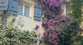 LE GRAND ROUGET - Image 5