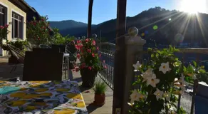 Goldene Wachau - Privatzimmer - Image 5