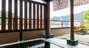 Umemura Ryokan Uguisutei - Image 2